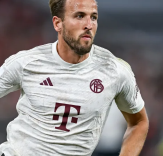 欢呼雀跃 欢呼雀跃